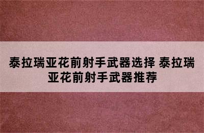 泰拉瑞亚花前射手武器选择 泰拉瑞亚花前射手武器推荐